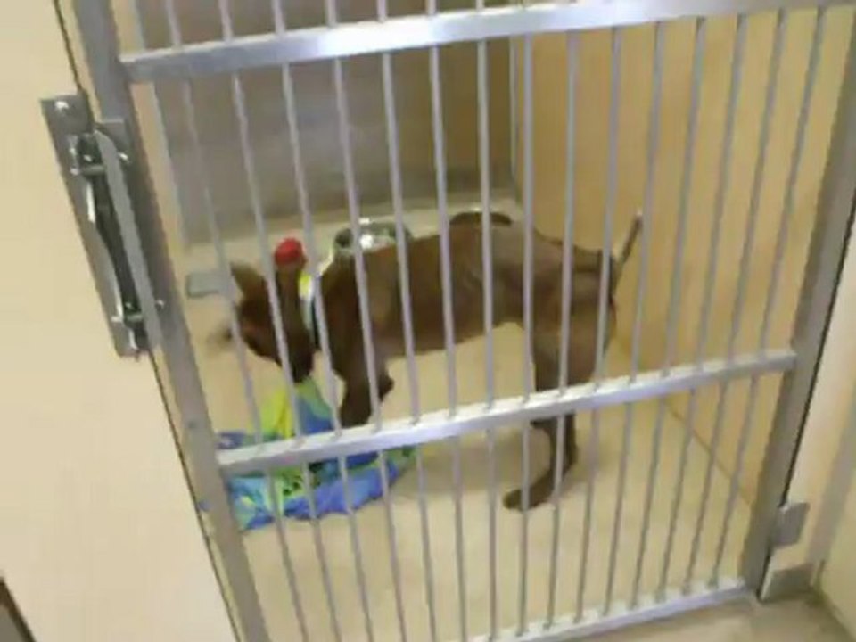 13-10-2012 (VID2)