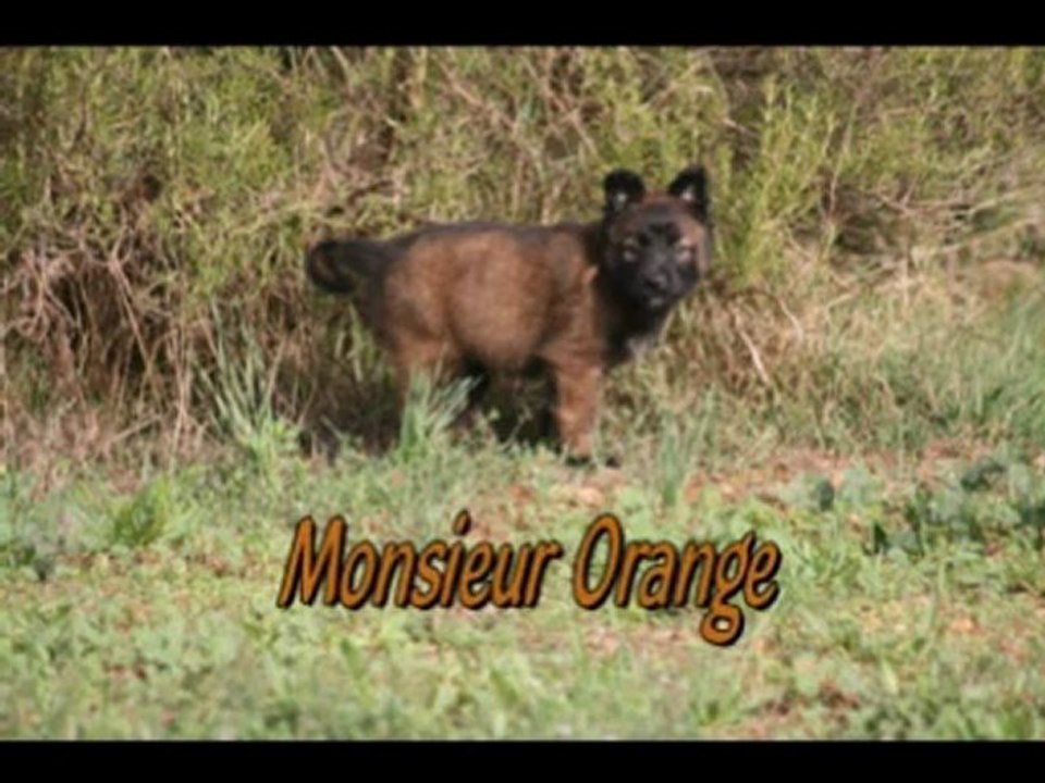 Nos bébés à 6 semaines