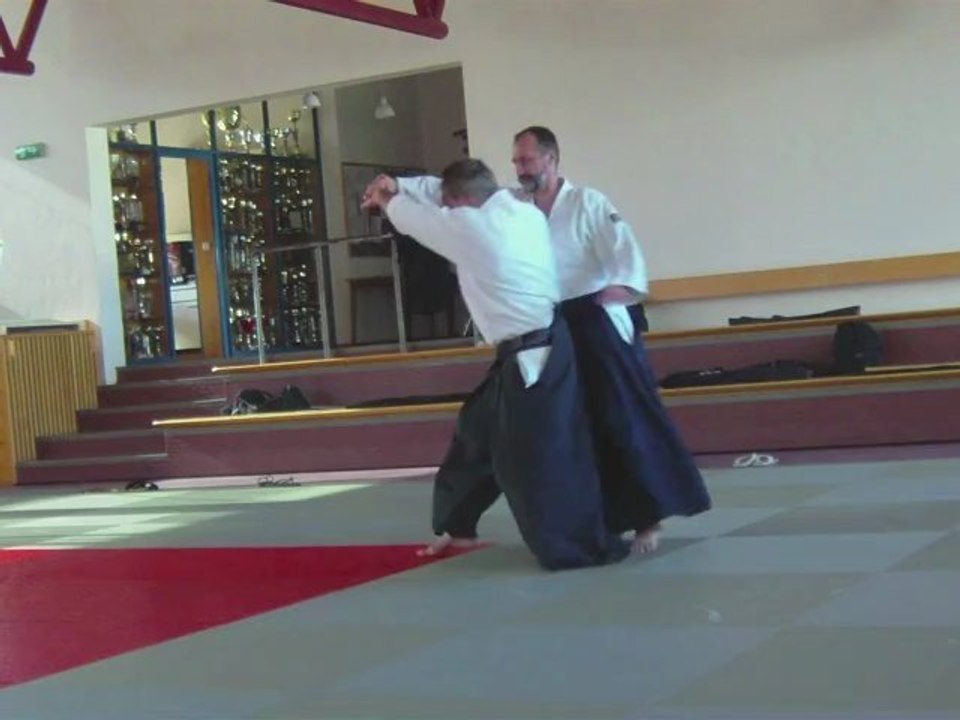 Gyaku-hanmi katate-dori Kokyu nage