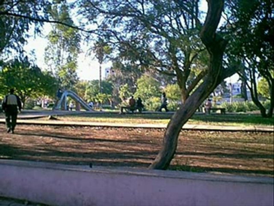 Lala ylali- cheb Jamal