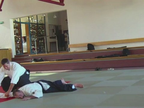 Gyaku-hanmi katate-dori Ikkyo Ura