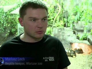 Ancient turtles unearthed in Poland