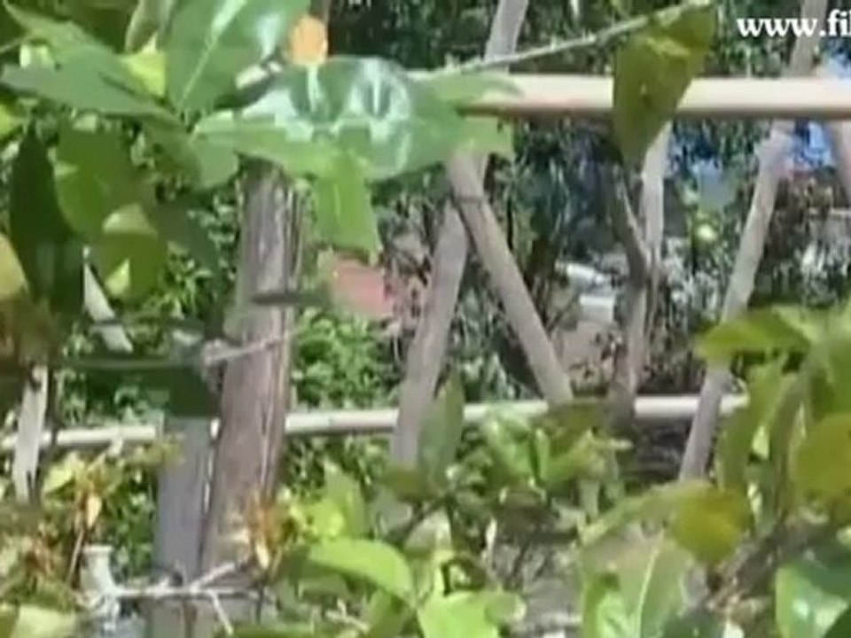 Film4vn.us-Vuonyeu-04_chunk_3