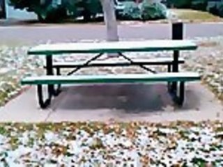 Jumping A Picnic Table