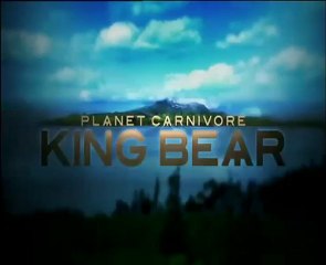 Yırtıcı Hayvanlar Aleminden Ayı Kavgası