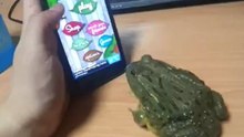 Неожиданная концовка