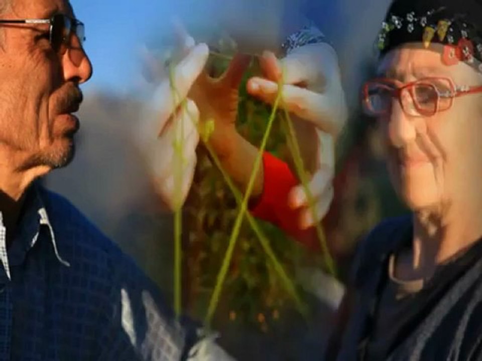 Yaylanın Çimenine (Salih Yılmaz)