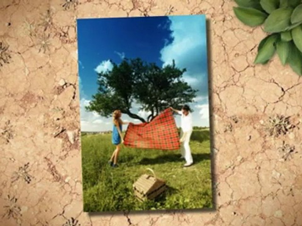 Picnic Spot Bondi Beach