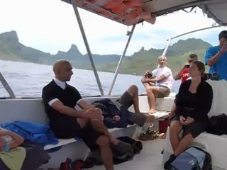 Chant des baleines 2