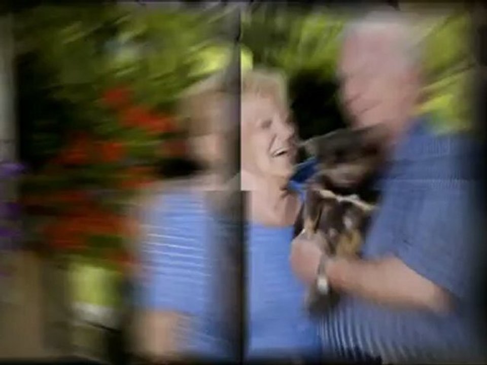 Pet Trust Services in Charleston & Hilton Head, SC - Kuhn & Kuhn Law Firm