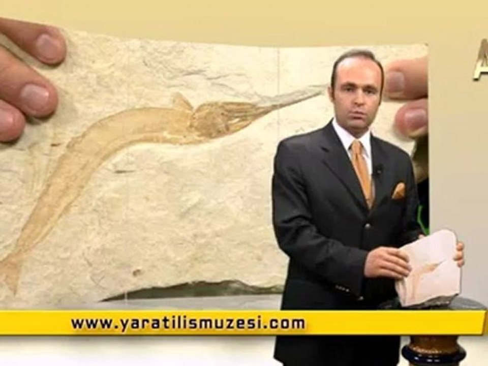 MİLYONLARCA YILDIR DEĞİŞMEYEN KEMİKLİ TURNA BALIKLARI