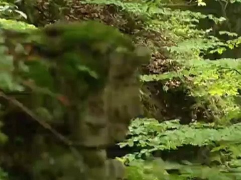 Fränkische Schweiz – drei Reisetipps | Hin