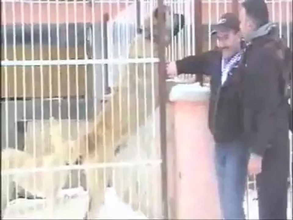 Kangal Sevdalisi Hüseyin Yildiz & Yalcin Part III