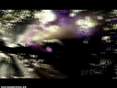 Robert Pattinson podría tener nueva novia