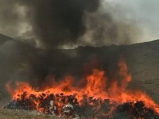 Afghan forces burn massive drugs haul