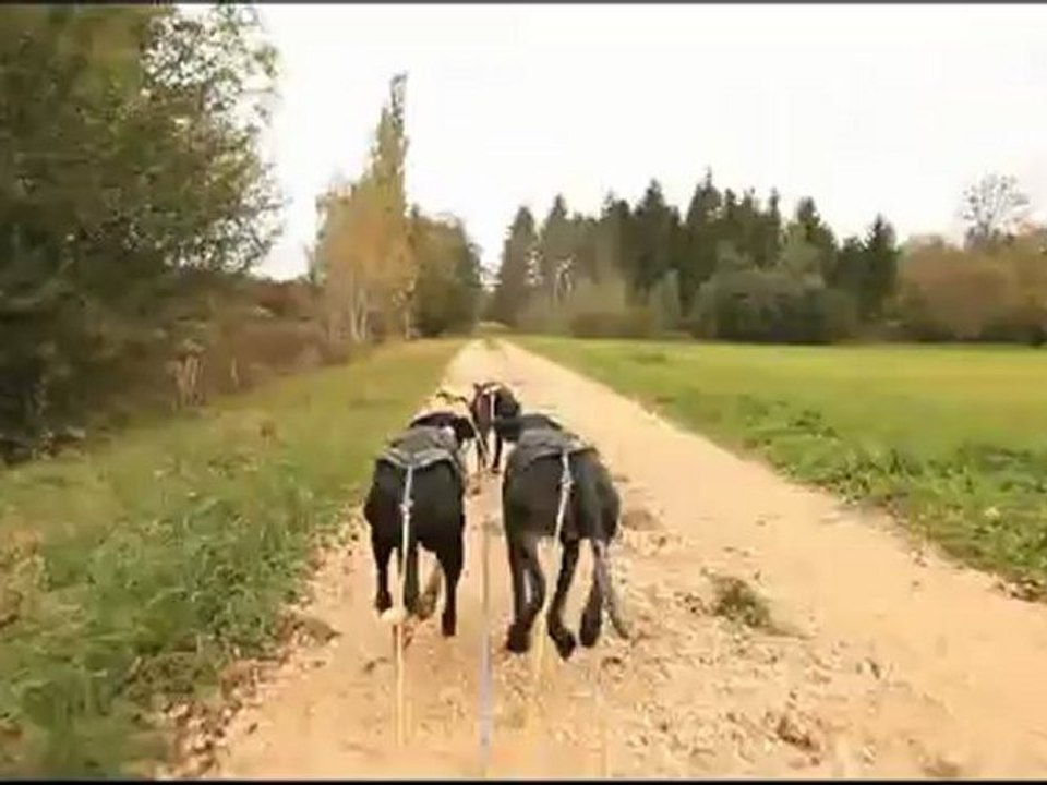 Entr. Diesse 14.10.12
