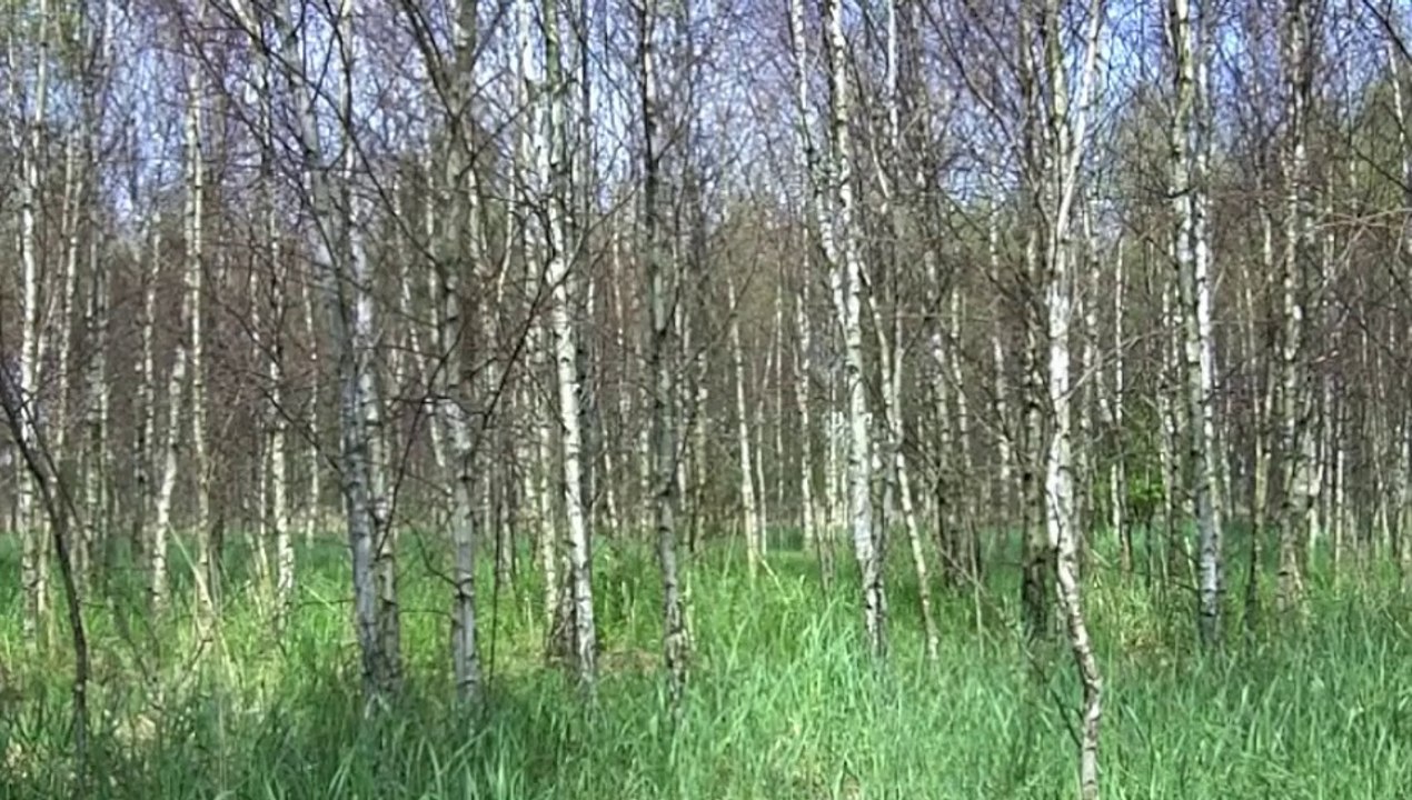 Record 10.05.2012, 12:34 – 12:43, Grabowka fields