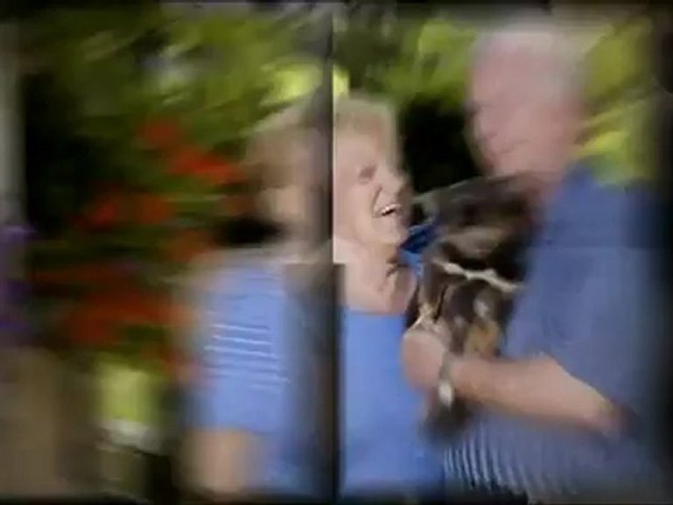 Pet Trust Services in Charleston & Hilton Head, SC