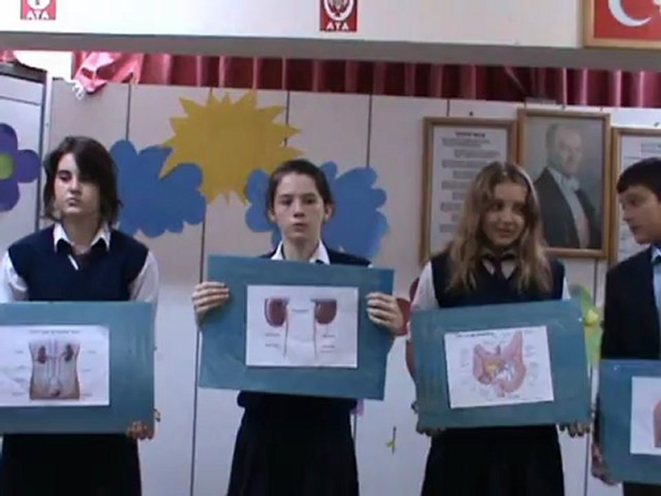 7B BOŞALTIM SİSTEMİ