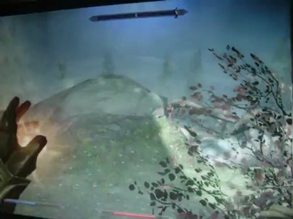 astuce skyrim - quête -  les bienfaits de la nature en EXPERT !!