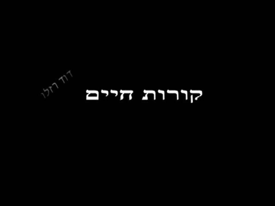 Curriculum Vitae David ROSELLO קורות חיים דוד