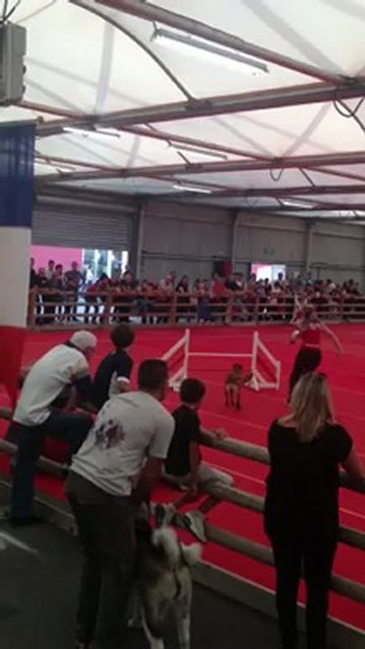 Sylvie et Guesstouille jumping Avignon