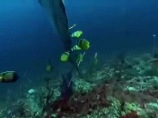 التلاوة التي أبكت العالم ,لياسر الدوسري