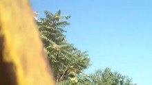 Ανυψωση μεταφορα παλετας στην ταρατσα με γερανο