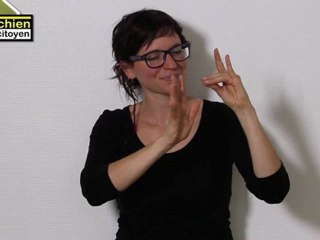 Comment éduquer son chien sans crier ? (3)