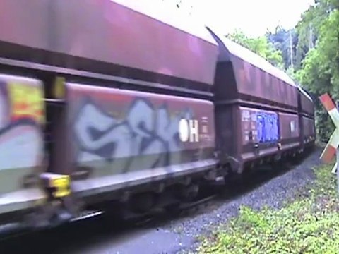 Angertalbahn (Kalkbahn) bei Hösel, MRCE Vossloh G2000BB, NE Mak G1206, TK Mak G1206, OC Mak G1206