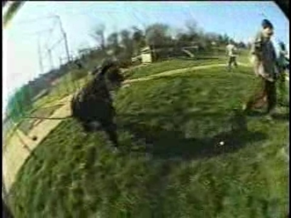 CKY 2K-Full of Bam Margera