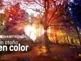 Cortinilla Mediaset España - Un otoño en color