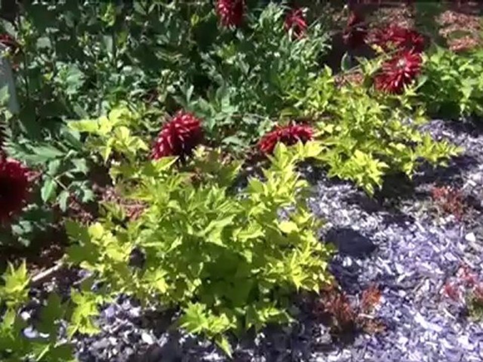 Terra Botanica Angers