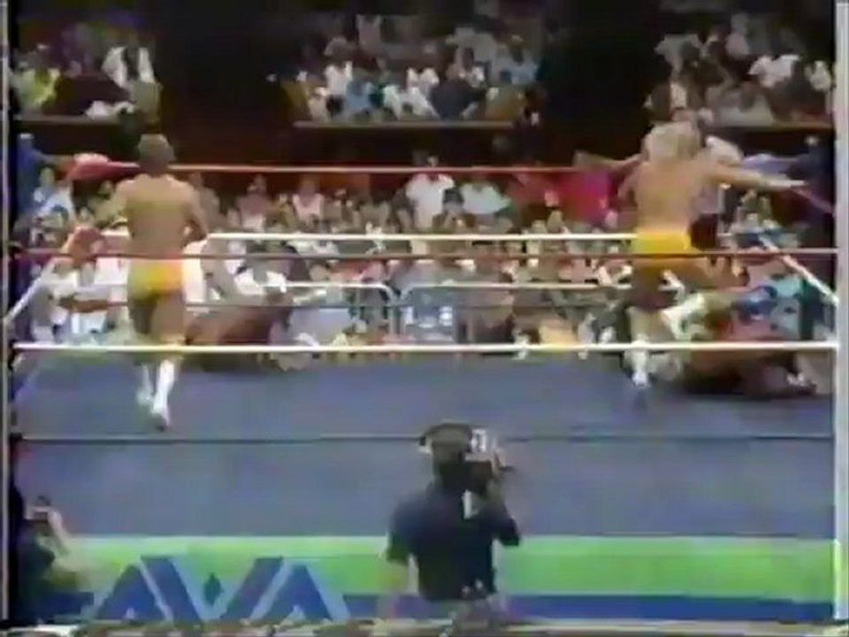 Fantastics vs Sheephearders