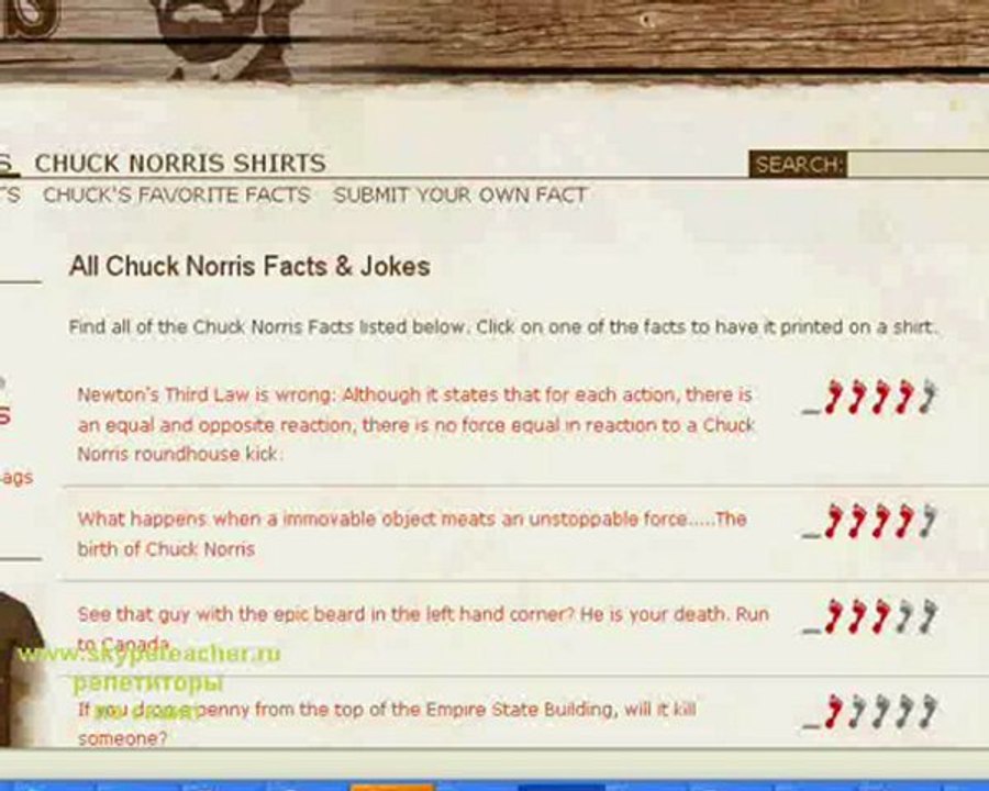 Chuck Norris Facts