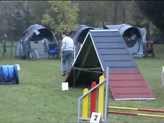 raven audun le roman