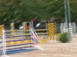 O.d.P Z , reprise des concours