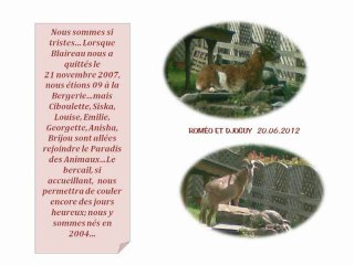 ROMEO ET DJOGUY SE RACONTENT.._1