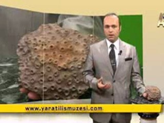 MİLYONLARCA YILDIR DEĞİŞMEYEN GÜNEŞ MERCANLARI