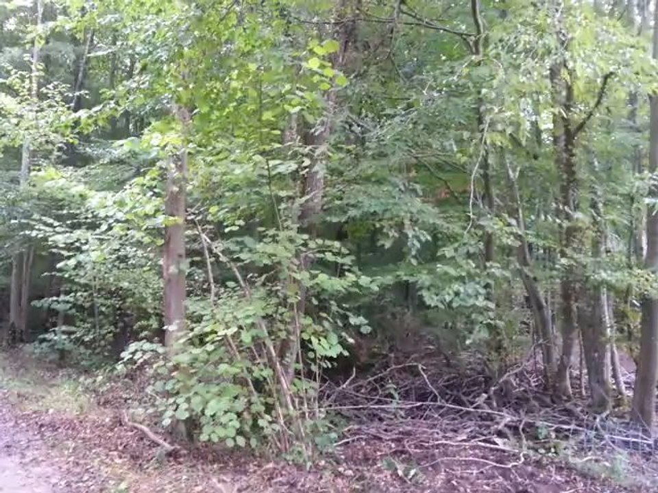 20121014_160523
