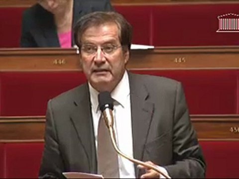 Pierre Alain Muet, explication de vote sur la loi organique