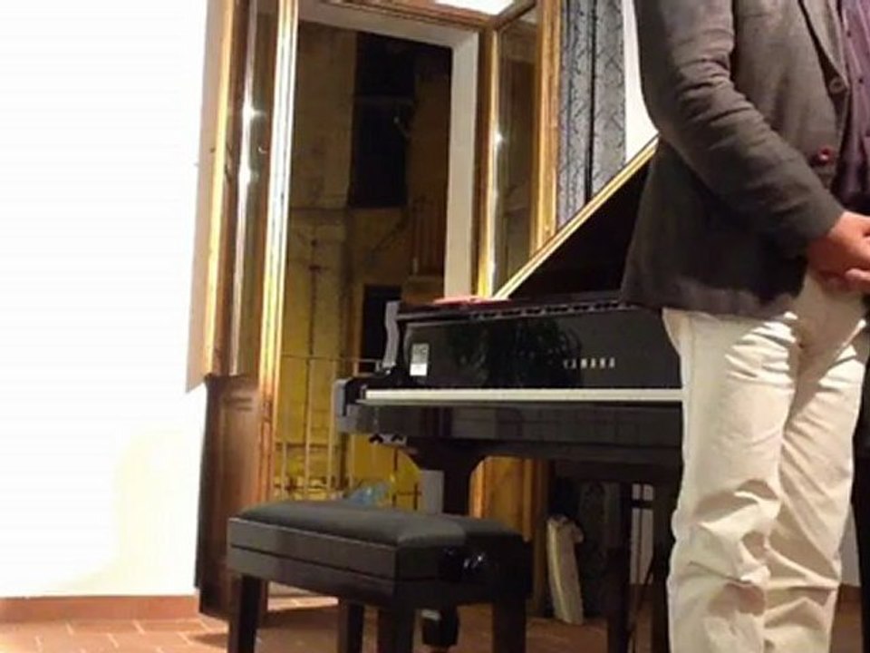 Rosario Ruggiero interpreta L. v. Beethoven Per Elisa (2012)