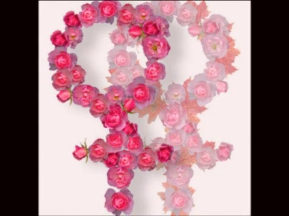 Rosa rosae - lezversions