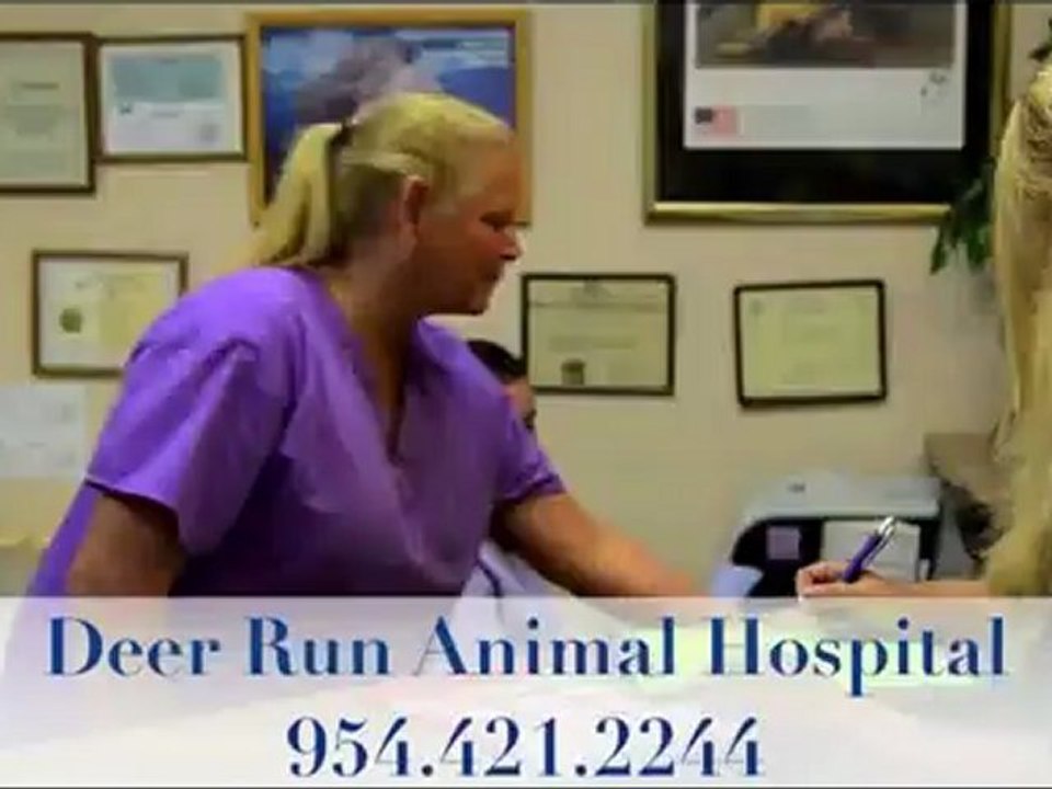 Pompano Beach Vet Veterinarian, Vet Veterinarian Pompano, Pompano Vet, Vet Pompano Beach