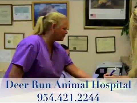 Pompano Beach Vet Veterinarian, Vet Veterinarian Pompano, Pompano Vet, Vet Pompano Beach