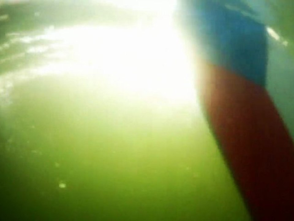 Czech Dragon Boat 2012
