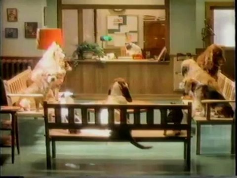 WNED 17 Buffalo PSA Erie County Humane Society 1986