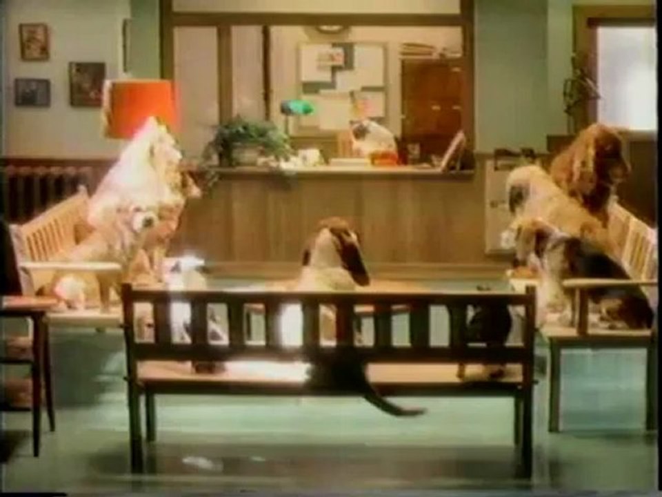 WNED 17 Buffalo PSA Erie County Humane Society 1986