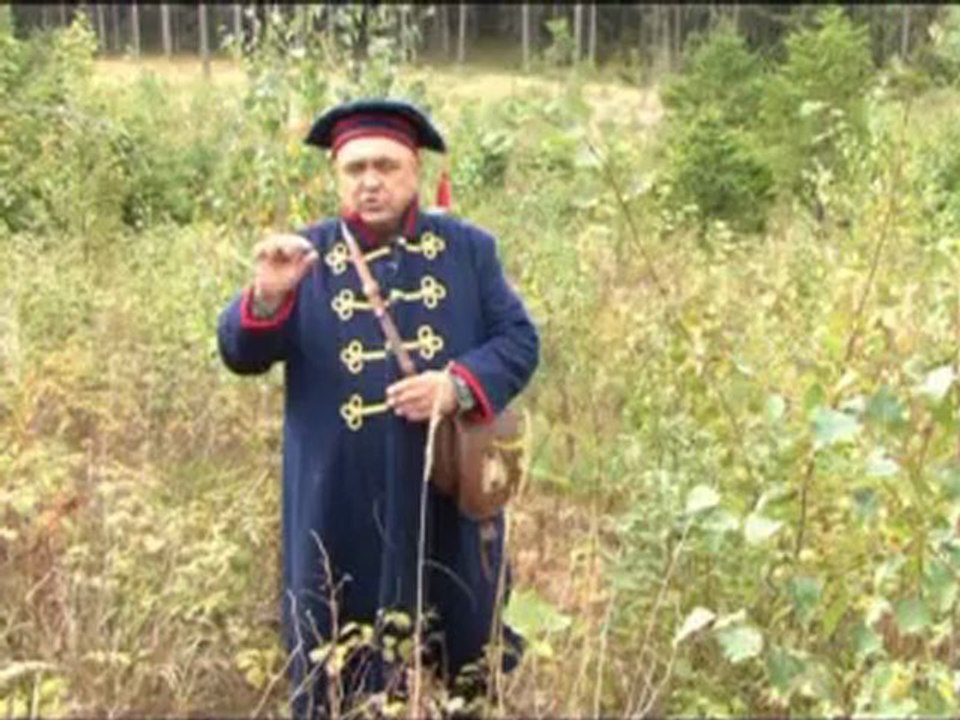Кищенко озвучивает вторую версию Занивок