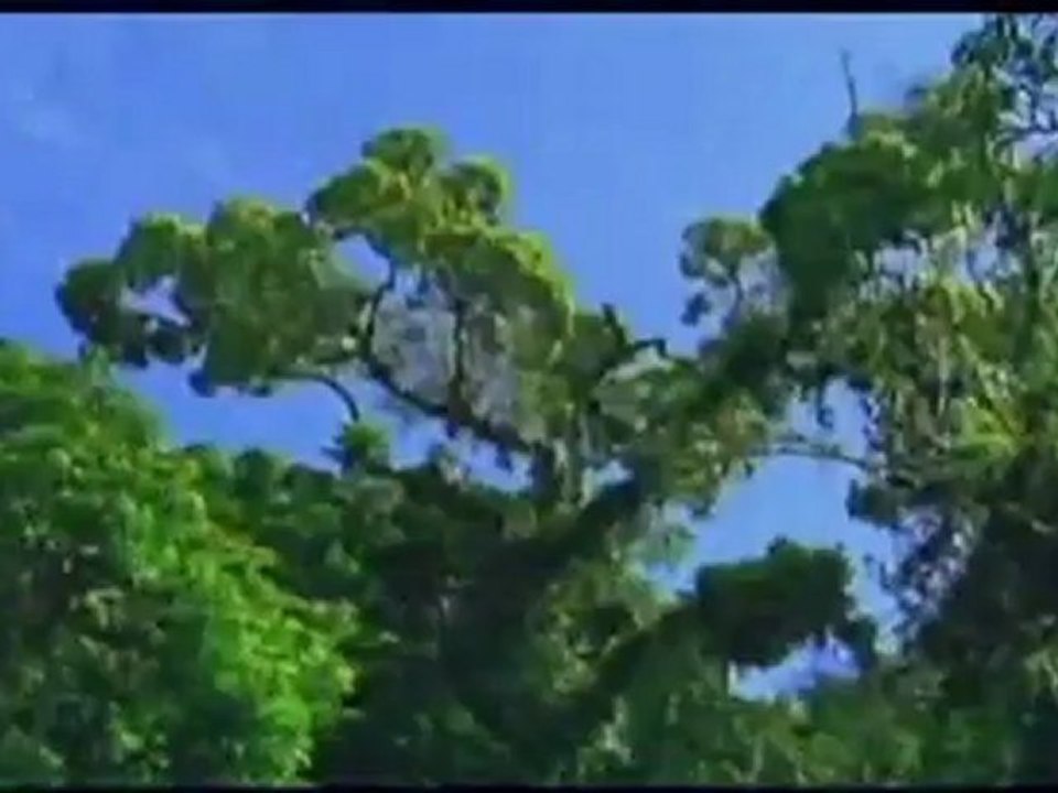 Medical Tourism Catolica - Hip and knee Replacement costa rica